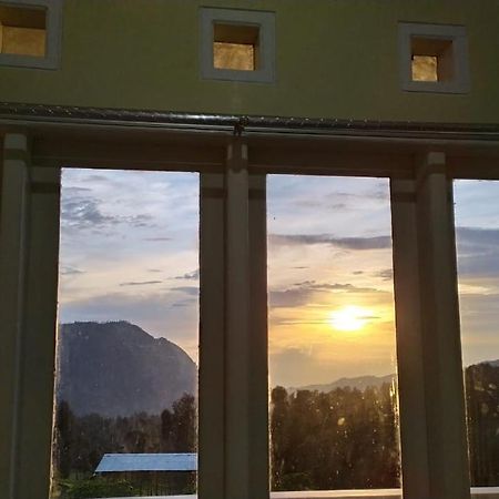 Bromo Otix Guest House Eksteriør bilde