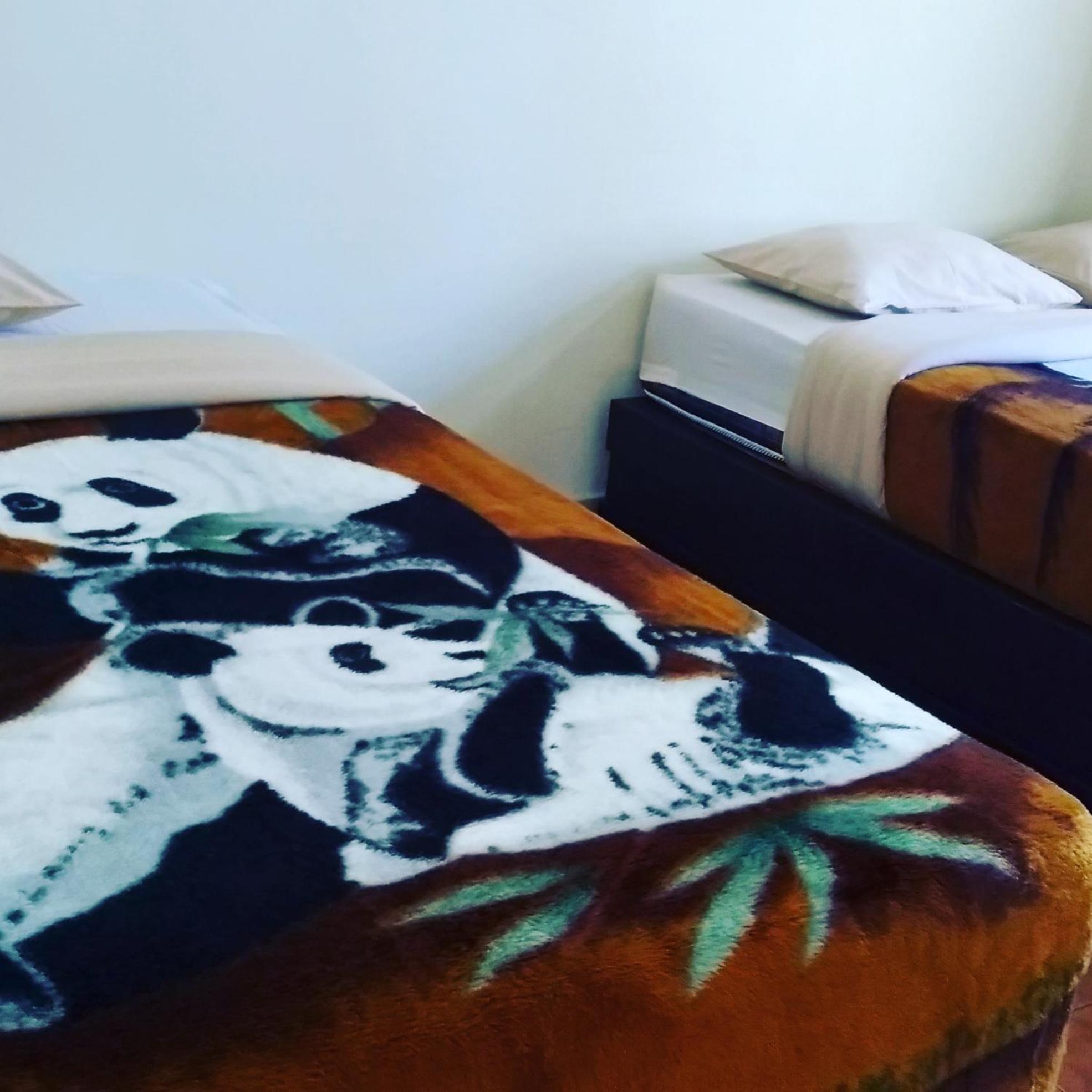 Bromo Otix Guest House Rom bilde