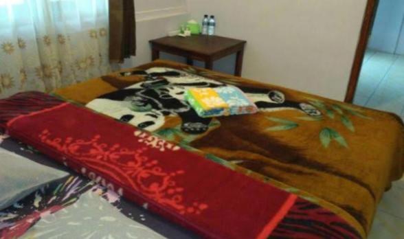 Bromo Otix Guest House Rom bilde