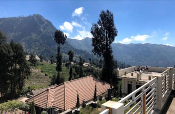 Bromo Otix Guest House Rom bilde