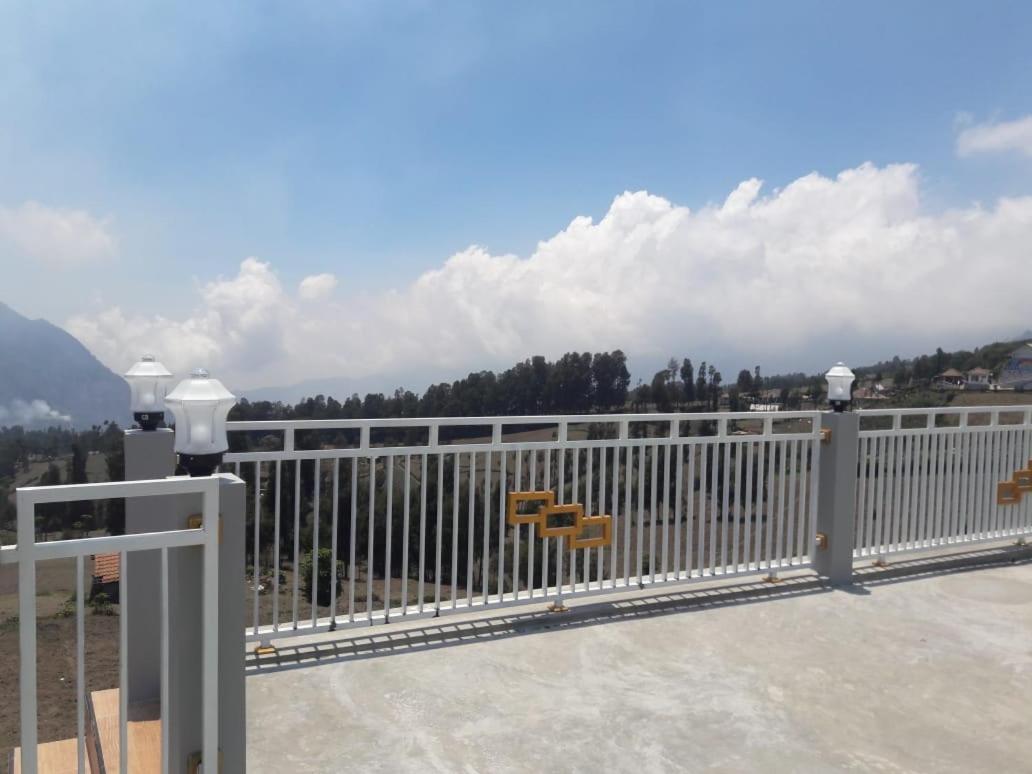 Bromo Otix Guest House Rom bilde