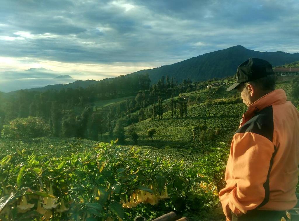 Bromo Otix Guest House Eksteriør bilde
