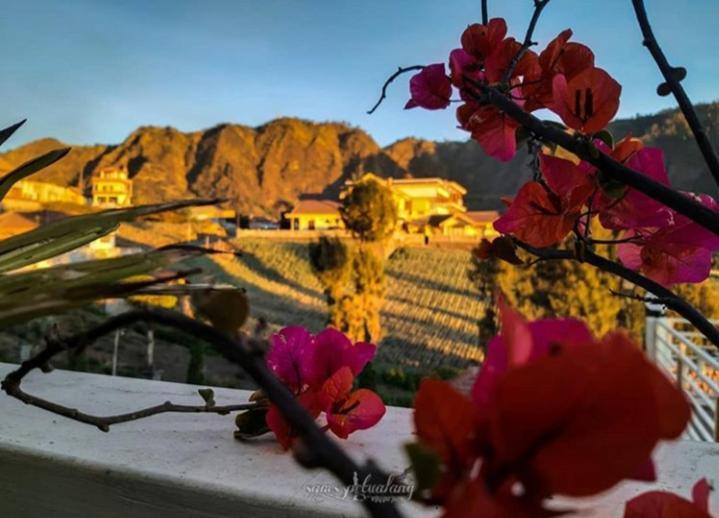 Bromo Otix Guest House Eksteriør bilde