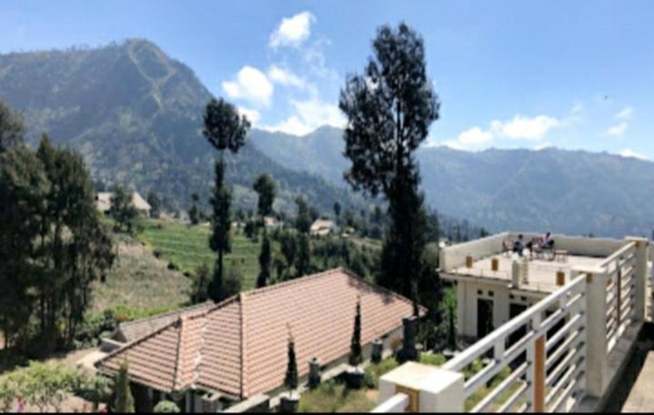Bromo Otix Guest House Eksteriør bilde